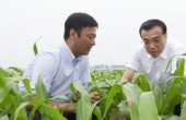 一號文件解讀：中國要強(qiáng) 農(nóng)業(yè)必須強(qiáng)